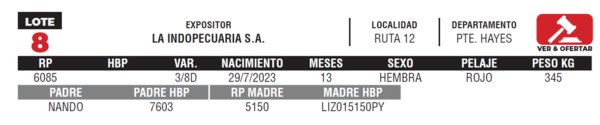 Lote LOTE 8- JUNIOR