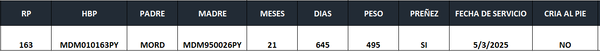 Lote LOTE 1