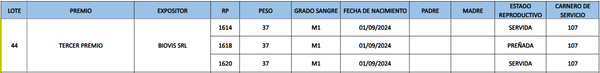 Lote LOTE 44