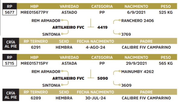 Lote LOTE 57