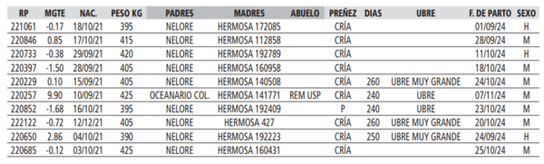 Lote LOTE 30 - POR PANTALLA