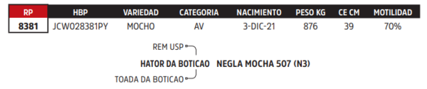 Lote LOTE 21