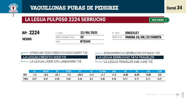 Lote VAQUILLONAS PP REMATE