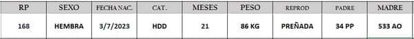 Lote LOTE 3