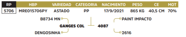 Lote LOTE 11