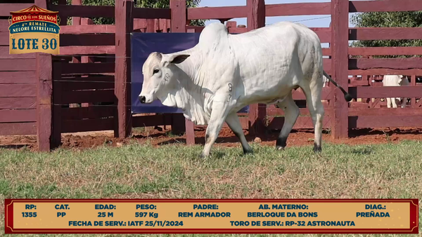 Lote LOTE 30