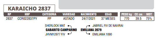 Lote LOTE 66