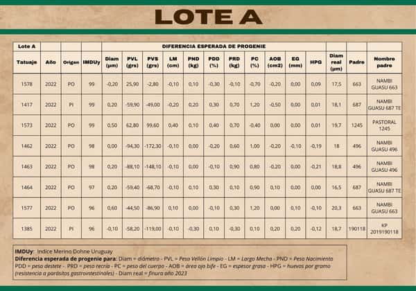 Lote Carneros a remate en Subasta Online - Nambi Guasu, Lavalleja