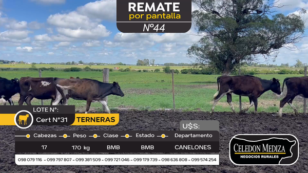 Lote 17 Terneras en Santa Lucía del Este, Canelones