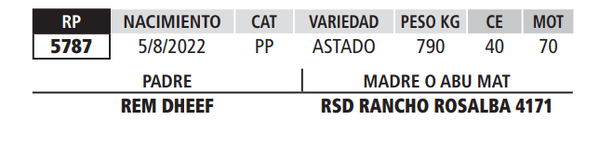 Lote LOTE 49