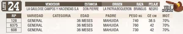 Lote LOTE 24 - EN VIVO