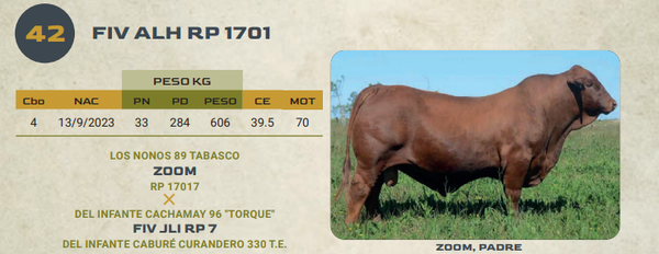 Lote LOTE 42