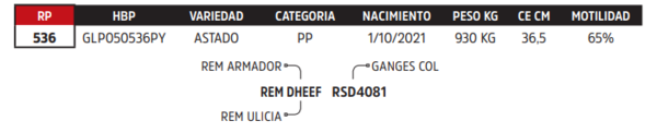 Lote LOTE 28