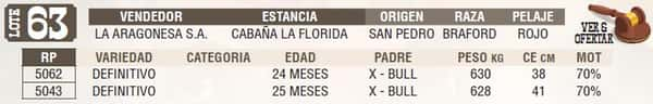 Lote LOTE 63 - EN VIVO