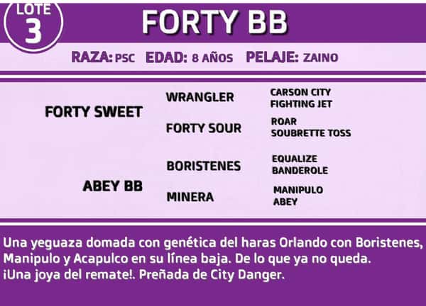 Lote FORTY BB