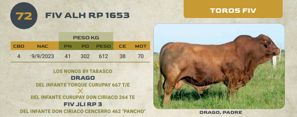 Lote LOTE 72