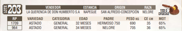 Lote LOTE 203 - EN VIVO