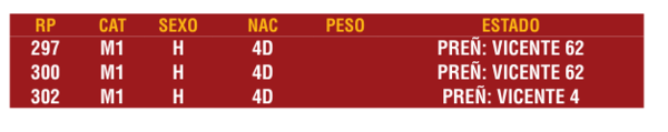 Lote LOTE 13