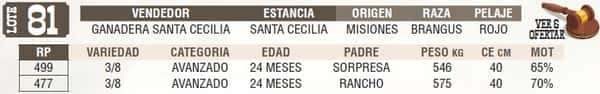 Lote LOTE 81 - EN VIVO