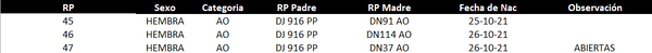 Lote LOTE 15