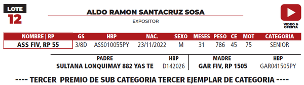 Lote LOTE 12