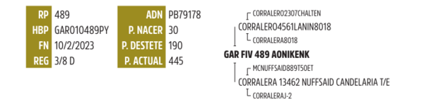 Lote LOTE 1