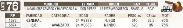 Lote LOTE 76 - EN VIVO