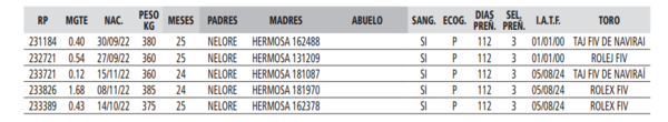 Lote LOTE 44