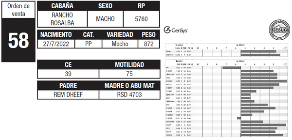 Lote LOTE 58