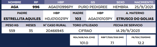 Lote LOTE 45