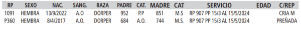 Lote LOTE 16