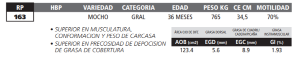 Lote LOTE 69