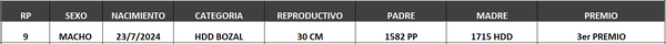 Lote LOTE 38- BOZAL
