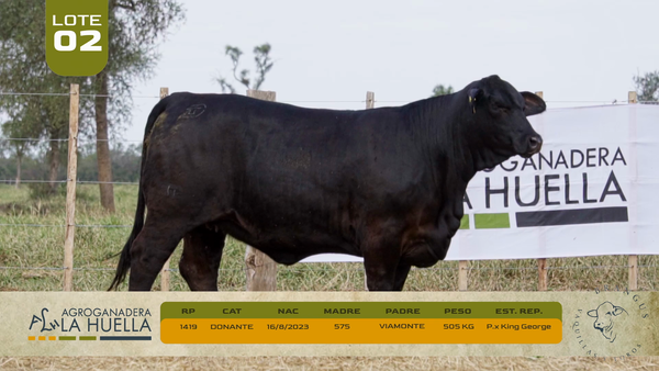 Lote LOTE 2