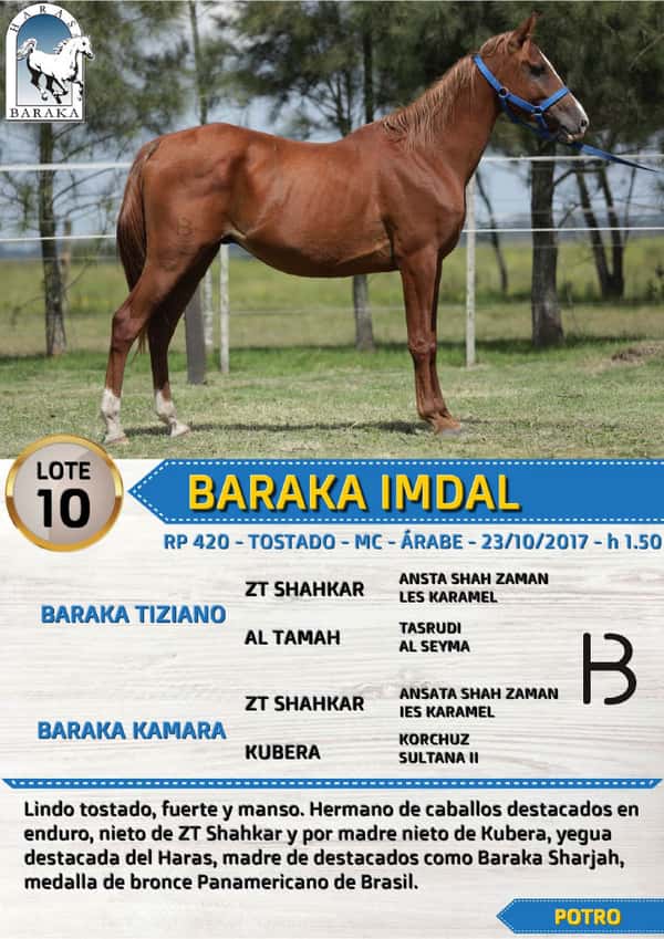 Lote BARAKA IMDAL