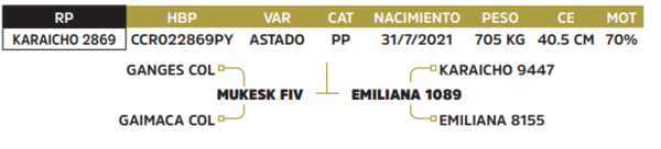 Lote LOTE 44