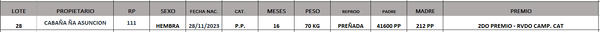 Lote LOTE 28