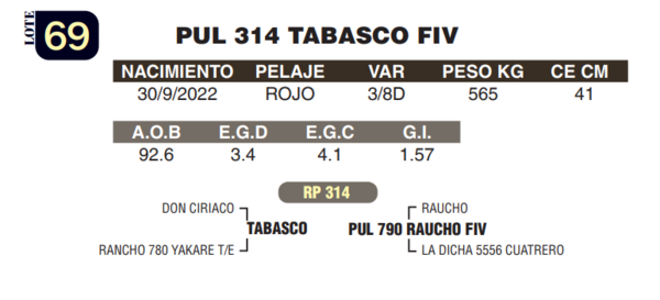 Lote LOTE 69