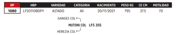 Lote LOTE 68