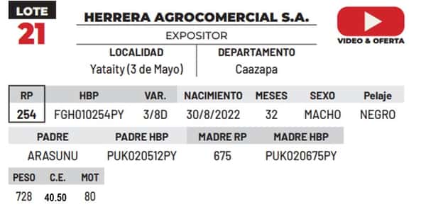 Lote LOTE 21