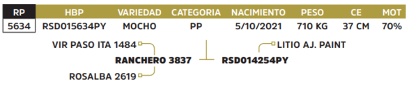 Lote LOTE 47