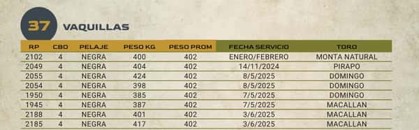 Lote LOTE 37