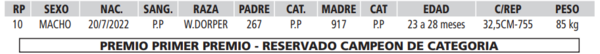 Lote LOTE 35