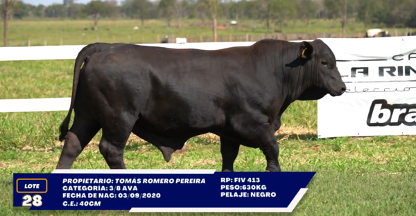 Lote LOTE 28