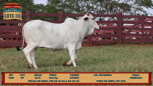 Lote LOTE 36