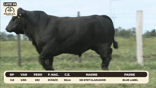 Lote LOTE 59