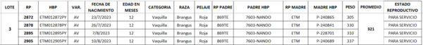 Lote LOTE 3