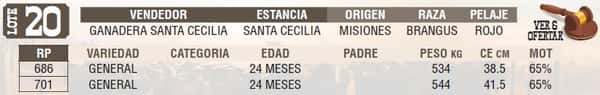 Lote LOTE 20 - EN VIVO