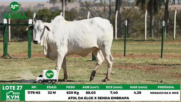 Lote Lote 27