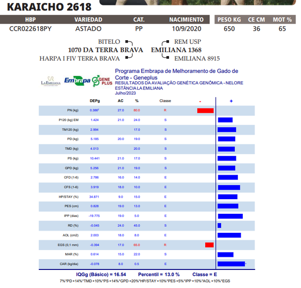 Lote LOTE 43